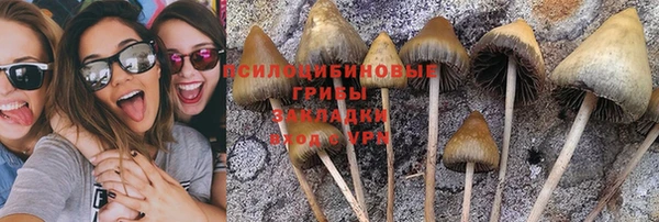 молекула духа Армянск